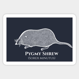 Pygmy Shrew with Common and Latin Names - animal drawing Sticker